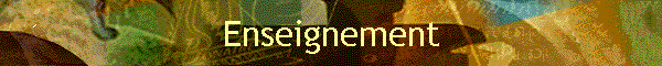 Enseignement